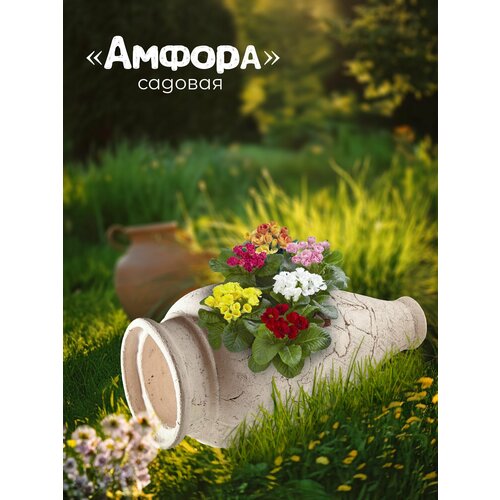 ������ ������ ������ ����