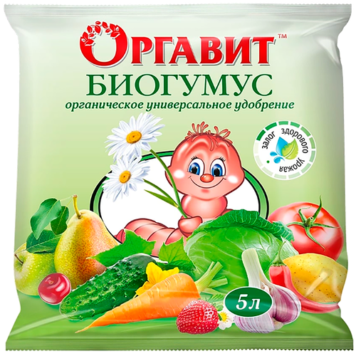 ������ ������ ��������� ������� �������� 5 � ����