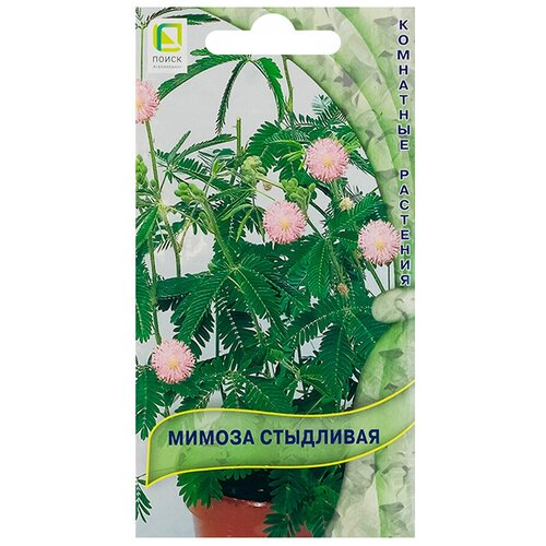 ������ ������ ������ ��������� (0,3 �), 2 ������ ����