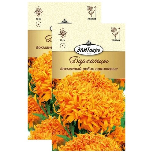 ������ ������ �������� �������� ����� ��������� (0,2 �), 2 ������ ����