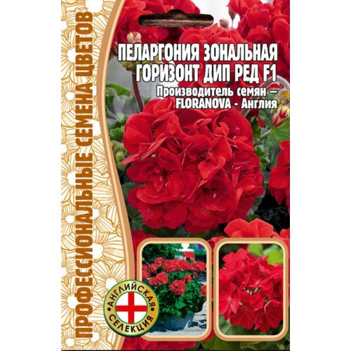 ������ ������ ������ ���������� ��������� 