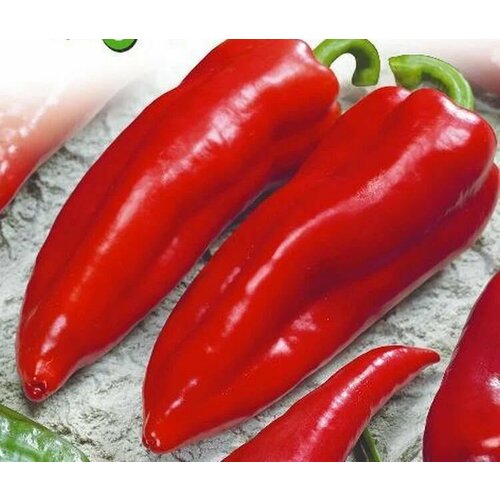 ������ ������ ������������� ������ ����� �������� ������ ����