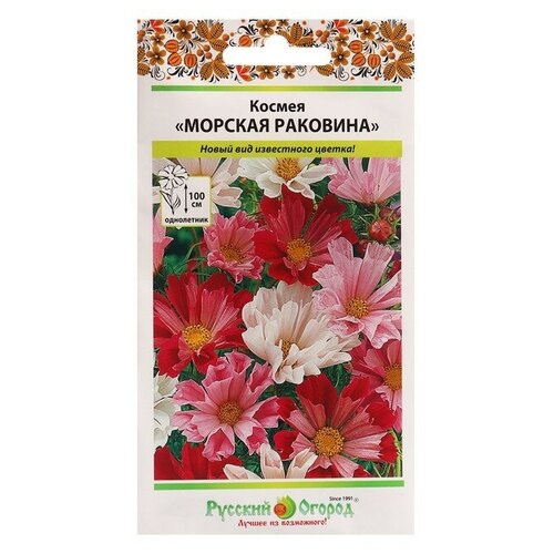 ������ ������ ������. �����. ������ 