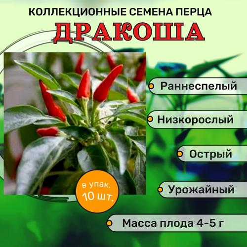 ������ ������ ������������� ������ ����� ������� ������� ����