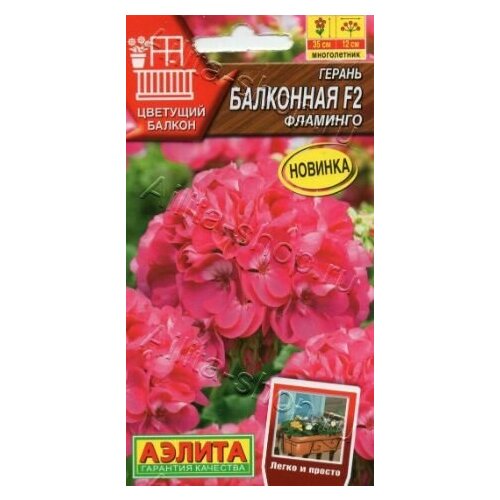 ������ ������ ������ ��������� �������� F2 ( 1 �������� ) , ������ ����