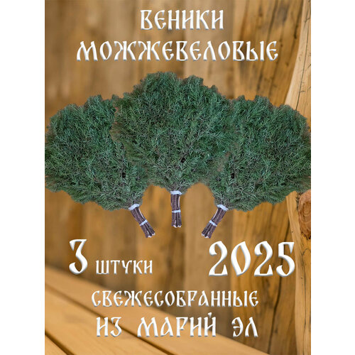 ������ ������ ������������ ������ ������ �� �����-��, 3 �� � ������� ����