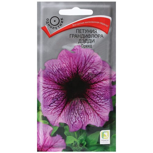 ������ ������ ������ ����� ������� ����������� ����� �����, 10 �� ����