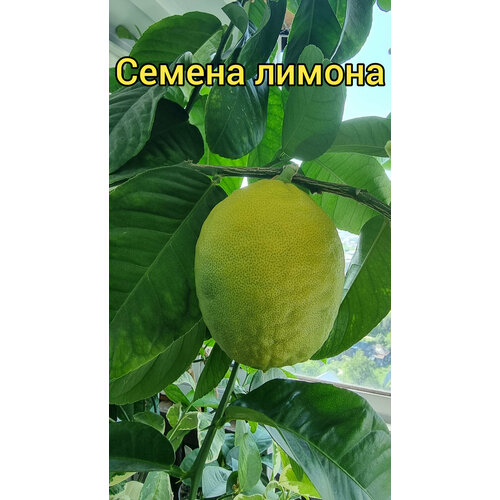 ������ ������ ������ ������ ���������� ����