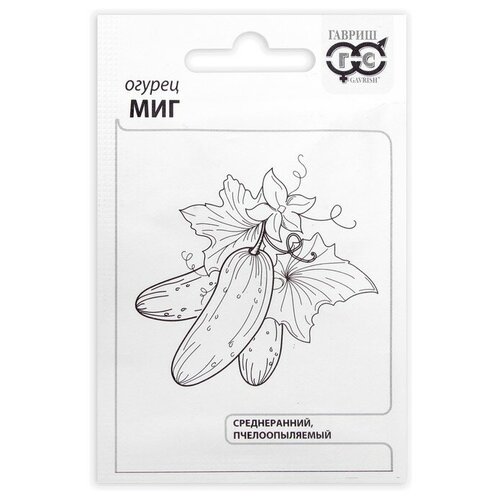 ������ ������ ������ ������ 