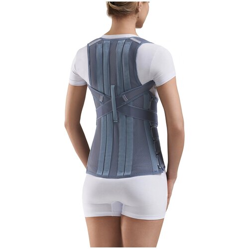 ������ ������ ��������� ������ �������������� ORLETT TLSO-361(F) XXL ����