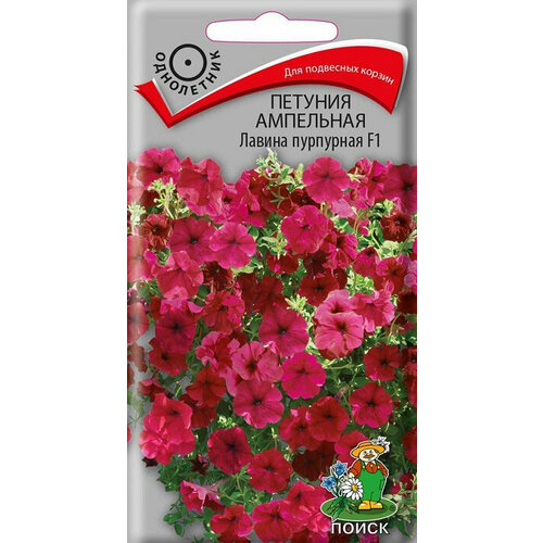 ������ ������ ������ ������� ��������� 