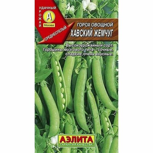 ������ ������ ������ ����� ������� ������ ��������� ��. (������) 10� ����