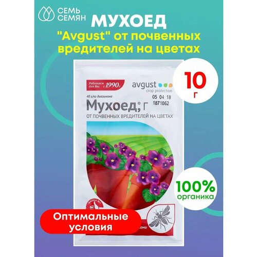 ������ ������ ������ �� ��������� ���������� �� ������ 10� ����