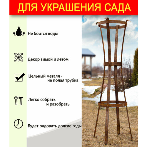 ������ ������ ����� ��� ���� - ����� ��� ��������� ���� / ������� /������� 