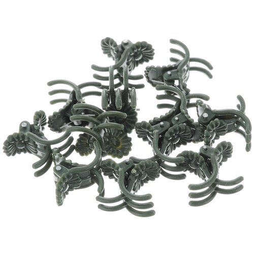 ������ ������ ����� ��� �������� Garden Show, 12 �� ����