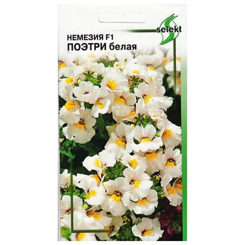 ������ ������ ������� F1 ������, ����� , 7 ����� ����