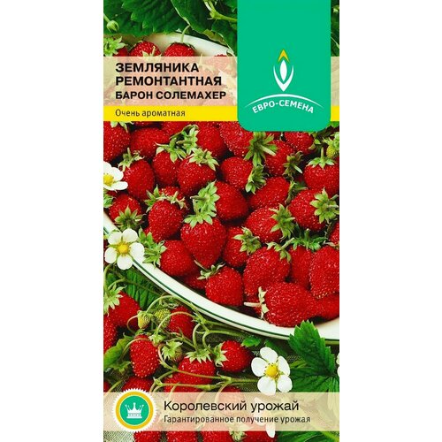 ������ ������ ��������� ������������ ����� ���������. ������. ����������� ���� � ����������� ������� ������ �� 4 ��. 1 ����� 0,03�� ����