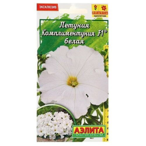 ������ ������ ��������� ������ ������ �������������� ����� F1 ���������������, 10 �� ����