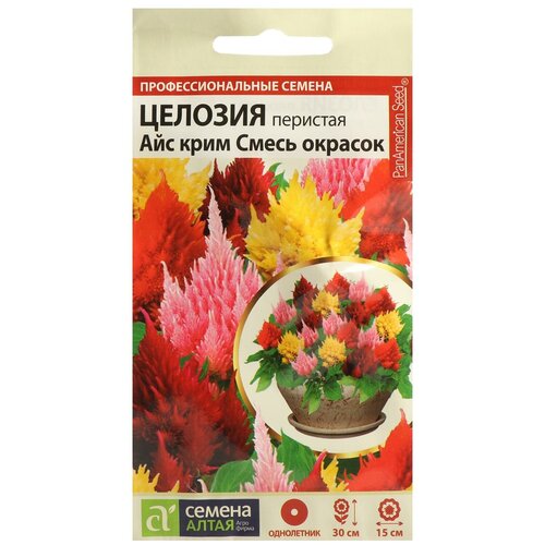 ������ ������ ������ ������ ������� ��� ����, ����� �������, ��������, ���. ���, �/�, 10 �� ����