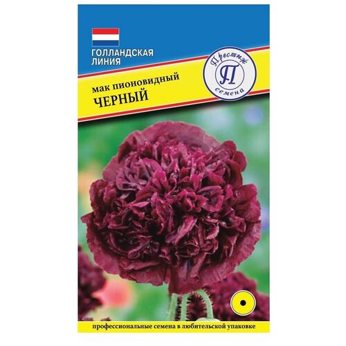 ������ ������ ������ ���� ������������ 