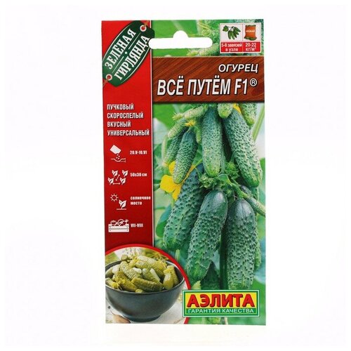 ������ ������ ��������� ������ ������ ������ 