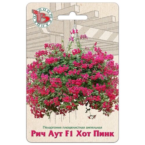 ������ ������ ������ ���������� ������������ ��������� 