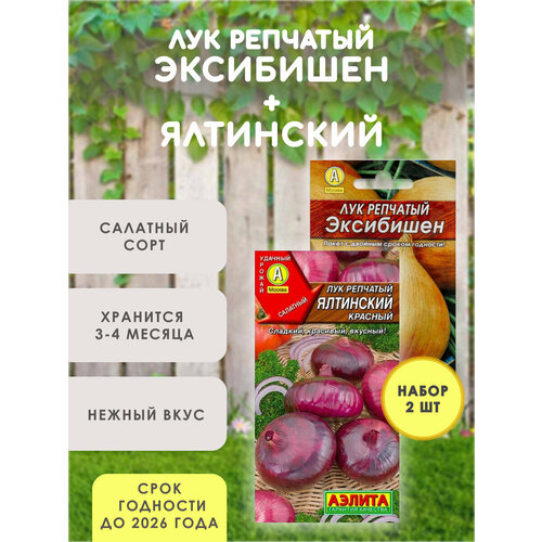 ������ ������ ������ ��� �������� ��������� + ��� ��������� �������, ����� 2 ��. ����