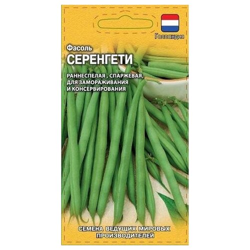 ������ ������ ������. ������ 