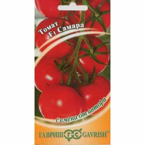 ������ ������ ������ ����� ������ F1, ������������, �����������, (������) 12�� ����