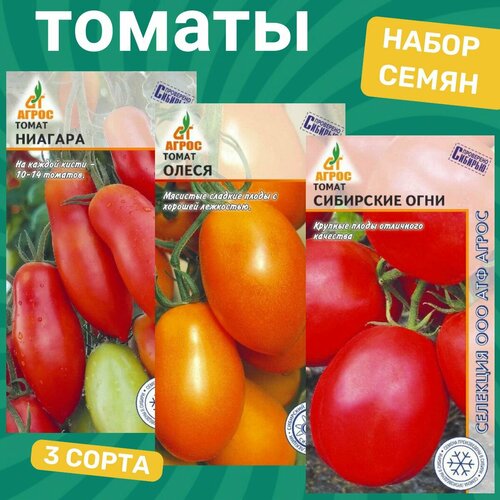 ������ ������ ����� ����� ������� / �������, �����, ��������� ���� ����