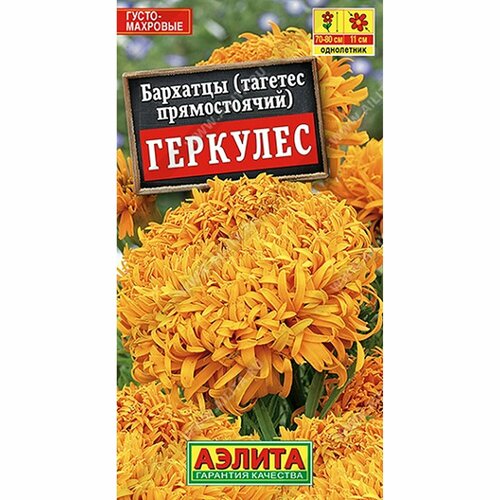 ������ ������ ������ �������� �������� ����, ����������, (������) 0,1� ����