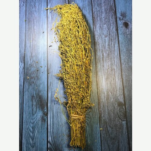 ������ ������ ����� ��� ���� ������ ������ � ������� �������� - ����� ���� ����