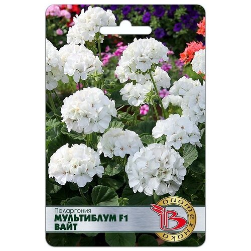 ������ ������ ������ ���������� 