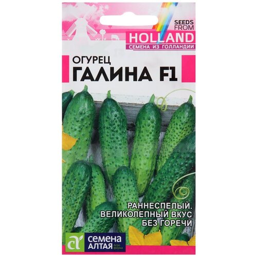 ������ ������ ������ ������ ����� ������ ������ F1 5 ��. ����