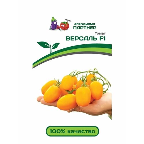 ������ ������ ����� 