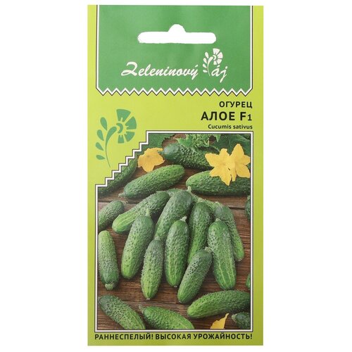 ������ ������ ��������� ������ ������ ������ 