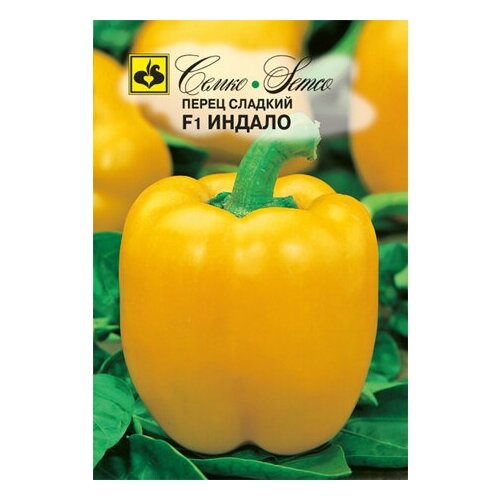 ������ ������ ����� ������ F1 ����