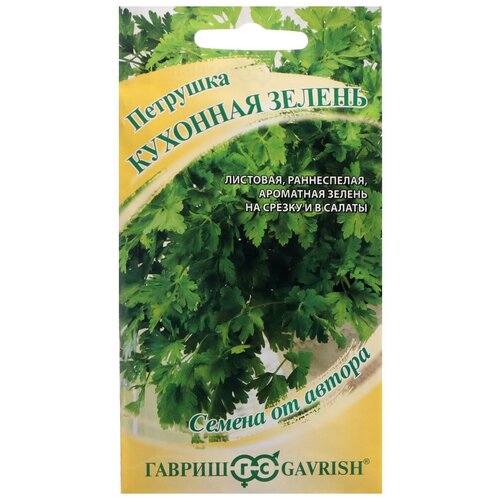 ������ ������ ������ �������� 