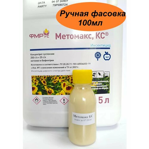 ������ ������ �������� �� 100�� ����