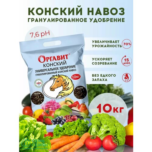 ������ ������ ��������� 