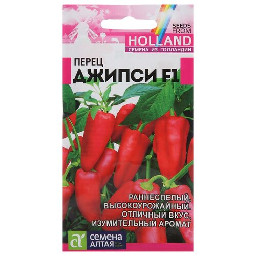 ������ ������ ������ ����� 