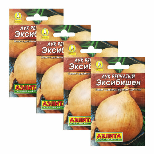 ������ ������ ������ ��� �������� ��������� 0,2 � (������, ����� �����) , 4 �������� * 0,2 � ����