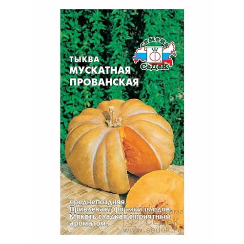 ������ ������ ����� 