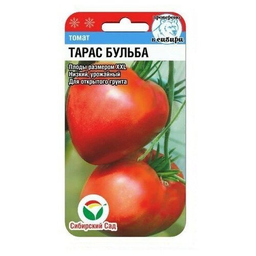 ������ ������ ����� ����� ������ 20�� ��������� ��� ����