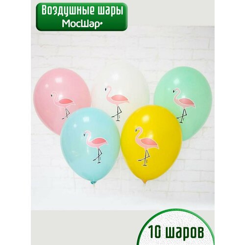 ������ ������ ����� ��������� ����� � �������� ��������, ������������ ������ ����