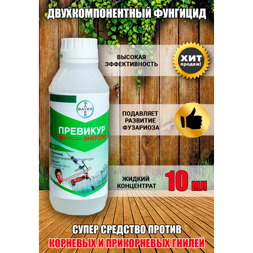 ������ ������ �������� �������, 10 �� ����