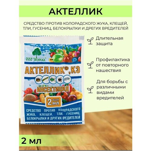 ������ ������ �������� ������ �������� �������� ����