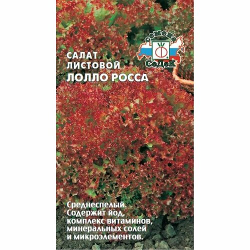 ������ ������ ����� �������� ������ ����� �������� ����� ����� ����