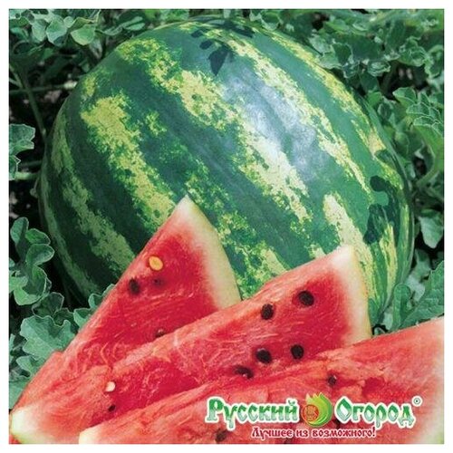 ������ ������ ������. ����� 