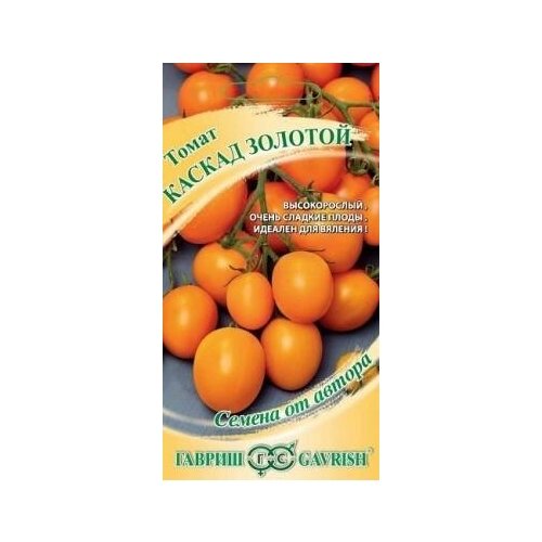 ������ ������ ������. ����� 